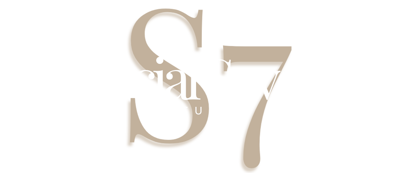 Social Seven Studio | Social Media Management 